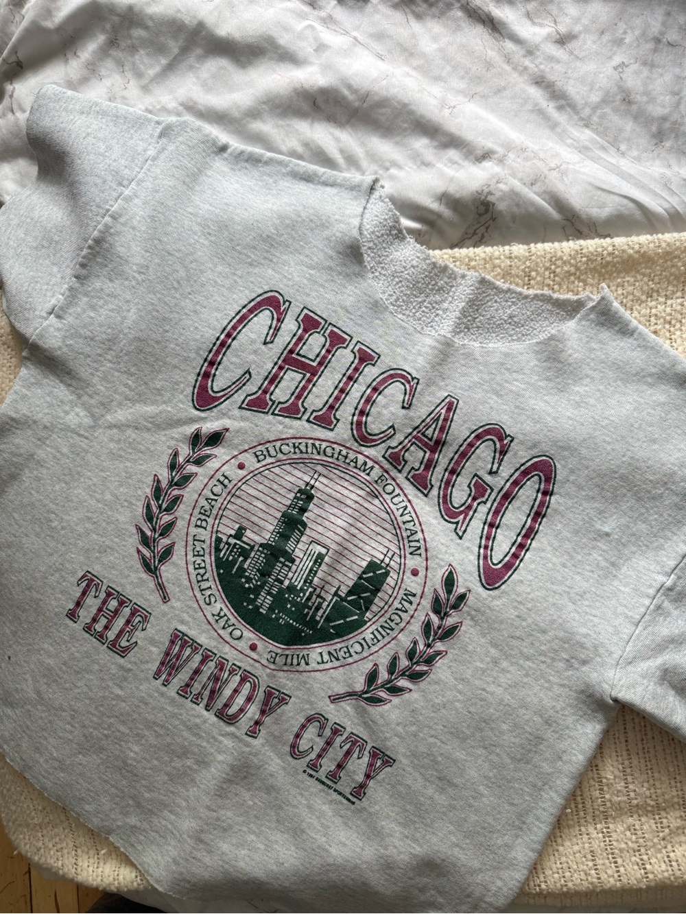 Chicago The Windy City Graphic Sweat-T